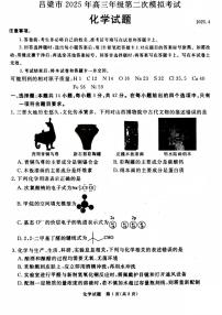 山西省吕梁市2025届高三高考模拟第二次模拟-化学试题+答案