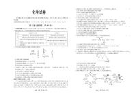河北省部分高中2023-2024学年高三上学期1月期末 化学试卷（含答案）