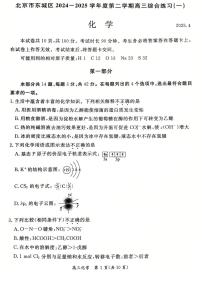 2025年北京市东城区高三一模化学试题（含答案）