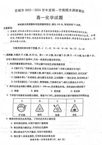 安徽省宣城市2023-2024第一学期高一期末考试化学试卷（含答案）
