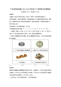 广东省名校联盟2023-2024学年高二下学期期中质量检测化学试卷（解析版）