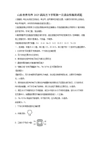 山东省青岛市2025届高三下学期第一次适应性检测化学试卷（解析版）