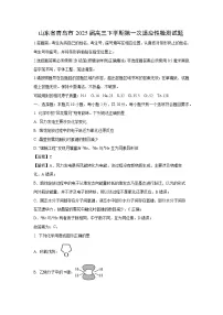 山东省青岛市2025届高三下学期第一次适应性检测化学试卷（解析版）