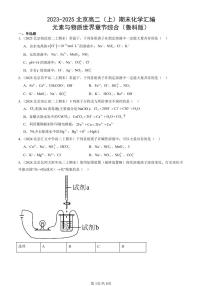 2023-2025北京高二（上）期末真题化学汇编：元素与物质世界章节综合（鲁科版）