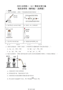 2025北京高一(上)期末真题化学汇编:铁的多样性(鲁科版)(选择题)