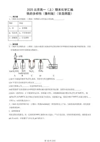 2025北京高一（上）期末真题化学汇编：铁的多样性（鲁科版）（非选择题）