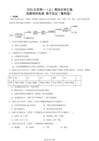 2025北京高一（上）期末真题化学汇编：电解质的电离 离子反应（鲁科版）