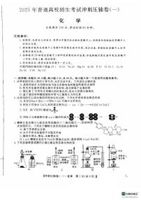 2025年普通高校招生考试高考模拟冲刺压轴卷(一)-化学试题 含答案
