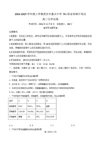 湖北省武汉市重点中学5G联合体2024-2025学年高二上学期期中化学试卷（Word版附解析）