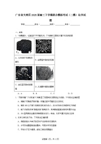 广东省大湾区2025届高三下学期联合模拟考试（二模）化学试题（无答案）