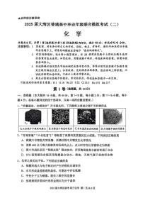 广东省大湾区2025届普通高三毕业年级联合模拟考试（二）化学（含答案）