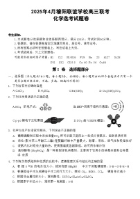 浙江省稽阳联谊学校2025届高三下学期4月联考化学试卷（含解析）