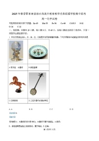 湖北省鄂东南省级示范高中教育教学改革联盟学校2024-2025学年高一下学期期中联考化学试卷  含解析