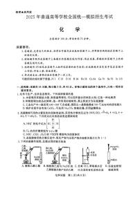 河南省2025届高三4月联考化学试卷含答案