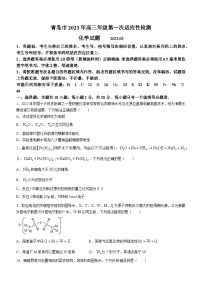 山东省青岛市2022-2023学年高三下学期一模 化学试题 附答案