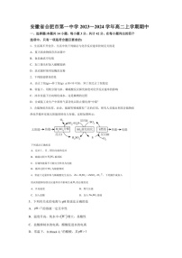 2023-2024合肥一中高二上期中考试化学试题（含答案）