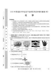 2025年全国普通高中冲刺压轴试题四高考模拟化学试题及答案