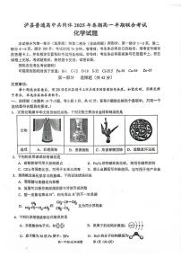 四川省泸州市泸县普通高中共同体2024-2025学年高一下学期4月期中化学试题（PDF版，含答案）