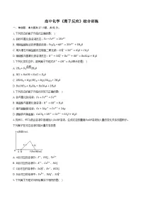 新课标高考化学专题训练 《离子反应》综合训练