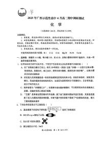 广西示范高中2024-2025学年高二下学期4月期中考试 化学试题含解析
