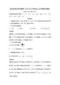 浙江省绍兴市诸暨市2024-2025学年高二上学期期末检测化学试卷（解析版）