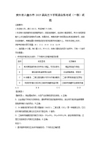 贵州省六盘水市2025届高三下学期适应性考试（一模）化学试卷（解析版）