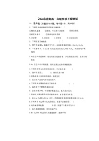河南省南阳市方城县第一高级中学2024-2025学年高一上学期开学考试化学试题