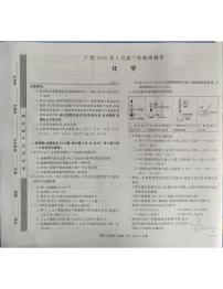 广西壮族自治区柳州市2025届高三下学期4月月考试题 化学 PDF版含解析