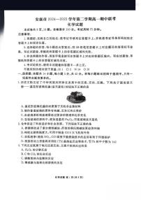 陕西省安康市2024-2025学年高一下学期4月期中考试化学试题（PDF版附解析）