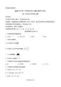 浙江省温州新力量联盟2024-2025学年高二上学期期中联考化学试卷（Word版附解析）