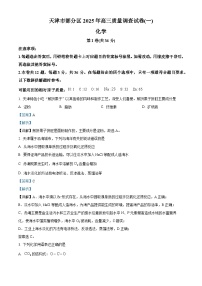 天津市部分区2025届高三下学期3月一模试题 化学 含解析