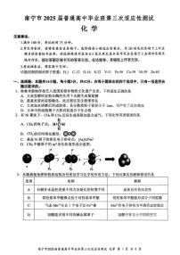 广西南宁市2024-2025学年高三下学期第三次适应性（南宁三模）测试化学试卷