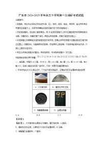 广东省2024-2025学年高三下学期第一次调研考试化学试卷（解析版）