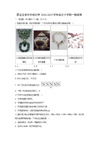 黑龙江省齐齐哈尔市2024-2025学年高三下学期一模化学试卷（解析版）