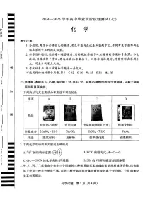 河南省名校联盟2025届高三下学期第七次联考（二模） 化学试题含答案