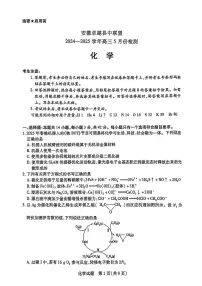 安徽省卓越县中联盟2024-2025学年高三下学期5月检测 化学试卷（PDF版，含解析）