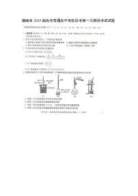 湖南省2025届高考普通高中名校联考第一次模拟考试（扫描版）化学试题