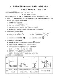 2025北京人大附中朝阳学校高三（下）统练十四化学测试卷