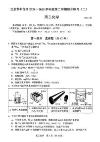2025届北京市丰台区高三二模 化学试题及答案