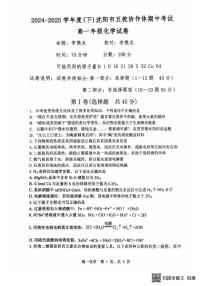 辽宁省沈阳市五校协作体2024-2025学年高一下学期期中考试化学试卷 无答案