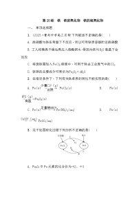 第20练　铁　铁的氧化物　铁的氢氧化物 课时作业（含答案）2026届高三化学一轮总复习
