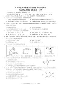 重庆市康德卷2025届高三高考模拟第三次诊断-化学试题+答案