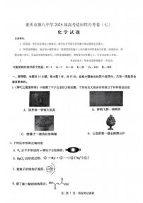 重庆八中2025届高三下学期5月高考适应性月考化学试题+答案