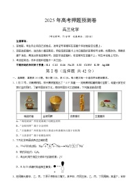 2025年高考押题预测卷：化学（河南卷01）（考试版）