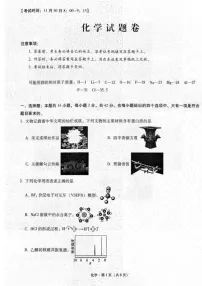 重庆市第一中学校2025届高三11月期中考-化学试题（含答案）