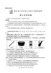 广东省上进联考2025届高三下学期5月联合测评化学试题（PDF版附解析）