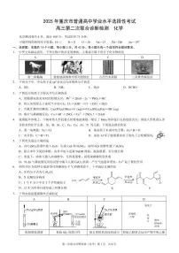 2025年重庆康德高考模拟二诊化学试卷含答案
