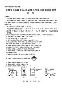 大教育山东联盟2025届高考第二次模拟化学含答案