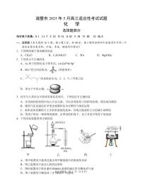 浙江省诸暨市2025年高三下学期高考适应性考试-化学试题（含答案）