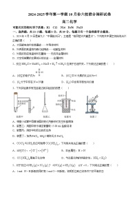 江苏省南京市六校联合体2024-2025学年高二上学期10月月考化学试题（含答案）
